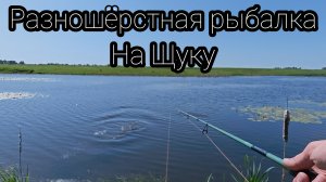 273-Разношёрстная рыбалка на Щуку(24.05.2026)