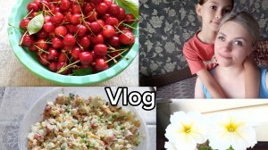 ВЛОГ. ПРИГОТОВИЛИ САЛАТ 😋/НАРВАЛА ЧЕРЕШНИ 🍒