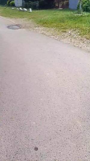 Другая сторона деревни 20.06.2026.