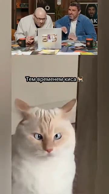 Надо что то сказать