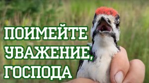 Снова выпускаем птиц, ничего нового (Лето 2022)