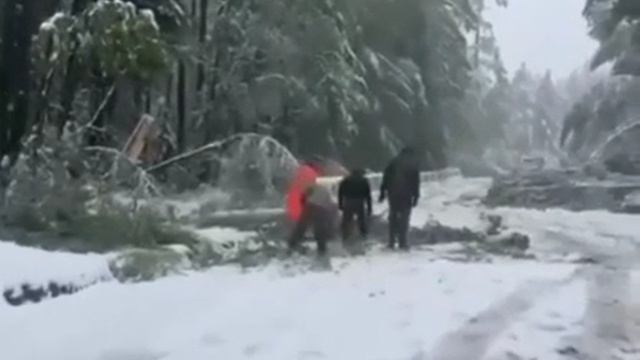 Июньский снег пришёл в Забайкалье. Из-за непогоды временно закрыли участок трассы Баляга — Ямаровка смотреть онлайн