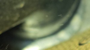 1000619319.mp4