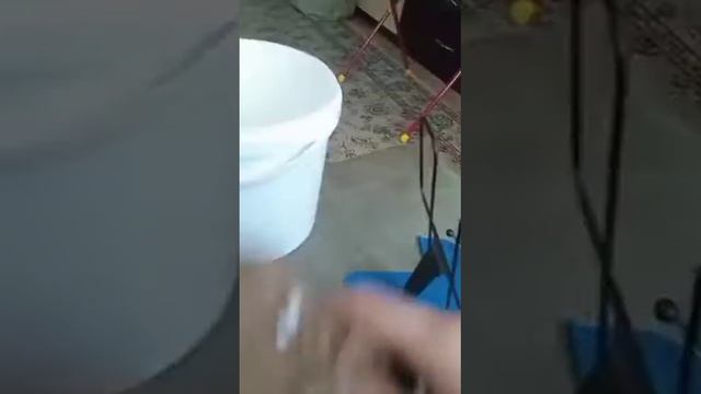 Рыбалка и волшебное яйцо