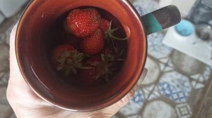 Второе место! Много событий. Проводили Фантика на радугу😭