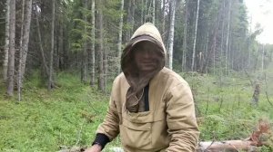 Поисках короеды . побывал в лесу. тайны ночной рыбалка . как поймать Леща. очень густой Туман.