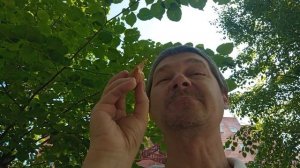 Сядешь на лавочку  и мороженку съем или как то так и кстати  прикольную книжечку прикупил
