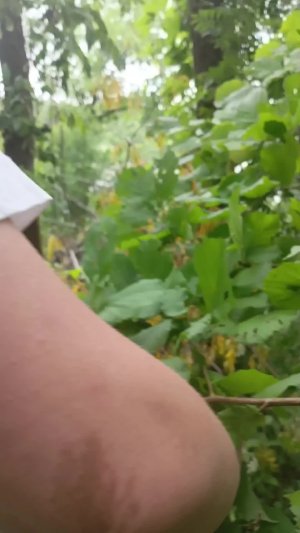выживание в лесу