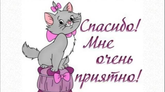 ВОПРОСЫ, НА КОТОРЫЕ НЕ ОТВЕЧАЮТ НОРМАЛЬНЫЕ БЛОГГЕРЫ | Жмурка