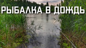 Рыбалка в дождь на карася