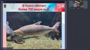 Река Конго – символ Африки