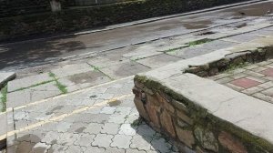 МОИ ЛЮБИМОЧКИ ПРИЕХАЛИ