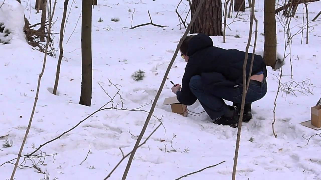 Grenka-testing смотреть онлайн