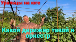 Ритм жизни/Первый урожай/Операция «Кастрюлька».