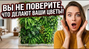 Комнатные растения — секретное оружие против токсинов! Учёные подтвердили мощный эффект