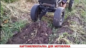 КАРТОФЕЛЕКОПАЛКА ДЛЯ МОТОБЛОКА / ПЕРВОЕ ИСПЫТАНИЕ / ЛАПА К АДАПТЕРУ МОТОБЛОКА