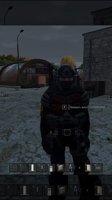 Неборский и его подруга Буратино #DTDAYZRP #DTRP #dayz #игры #stalker #gaming #долг #survival #funny