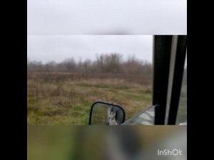 Аэродром Узин Оффроуд осень 4х4