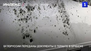 Белоруссии переданы документы о теракте в Брянске