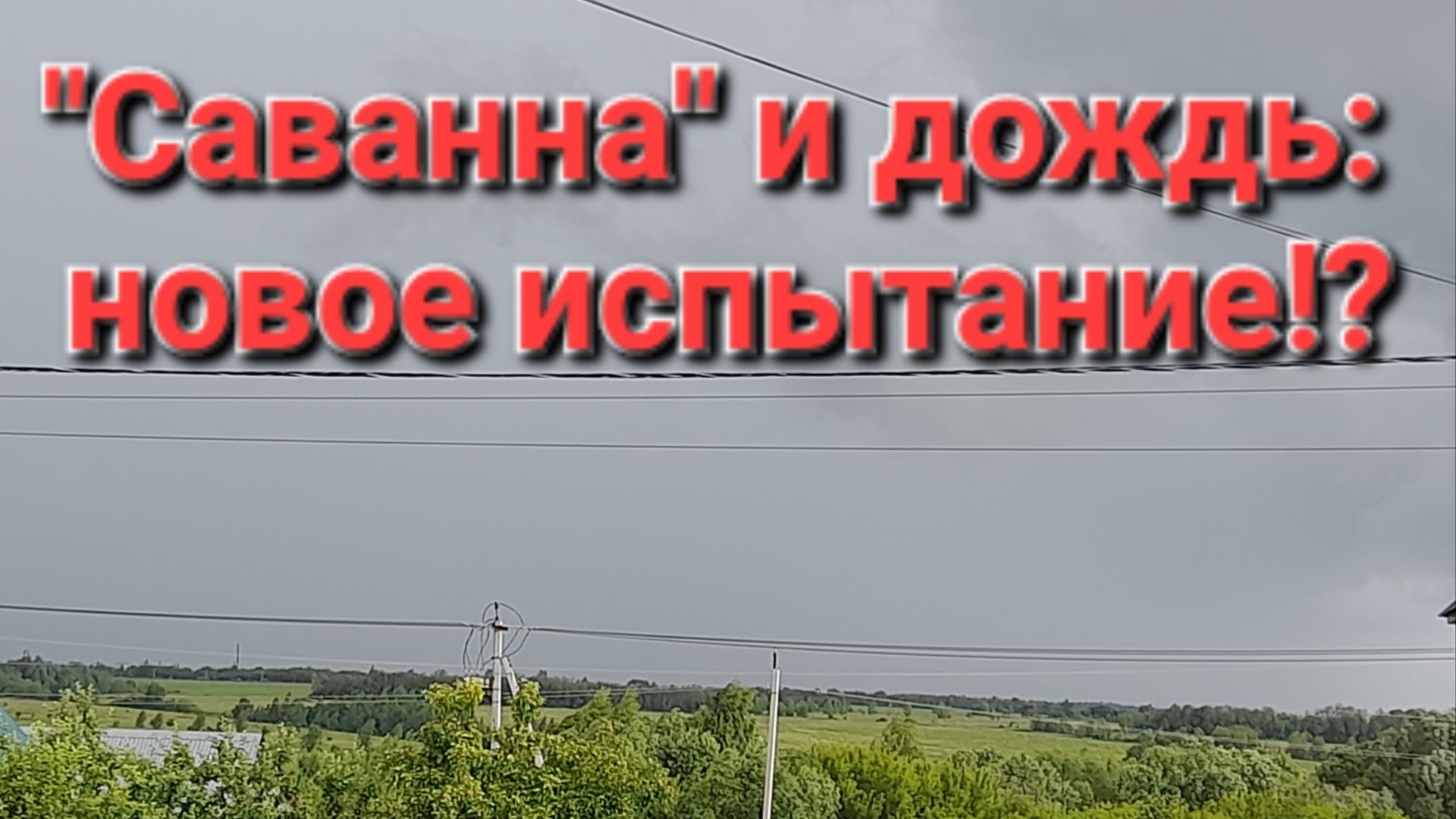 "Саванна" и дождь: новое испытание и что-то ещё!?
