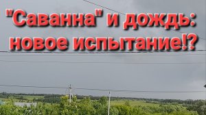 «Саванна» и дождь: новое испытание и что-то ещё!?