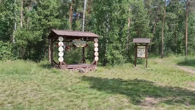 Челябинск. природа. Березовая роща у ледовой арены Трактор. Монахи в Сосновом бору парка Гагарина.