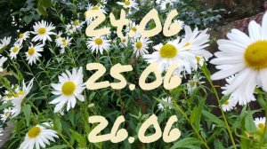 Лунный Календарь Комнатного Цветовода с22.06-28.06.26г.