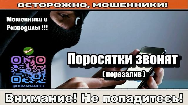 Мошенники звонят по телефону _ Поросятки звонят ( перезалив ). смотреть онлайн