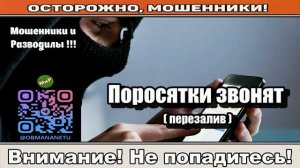 Мошенники звонят по телефону _ Поросятки звонят ( перезалив ).