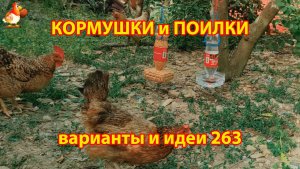 Кормушки и поилки для кур своими руками 263 🪚✂️ Пошаговая инструкция как сделать 🐔 🐓❣️