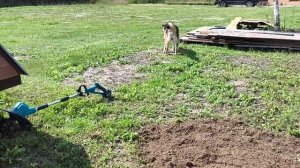Моя Жизни в Деревне🤔 Как прошёл мой день!? Что то я, под ростроилась🥺 20-06-2026