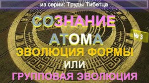 (3) ЭВОЛЮЦИЯ ФОРМЫ ИЛИ ГРУППОВАЯ ЭВОЛЮЦИЯ - СОЗНАНИЕ АТОМА -  из Трудов ТИБЕТЦА