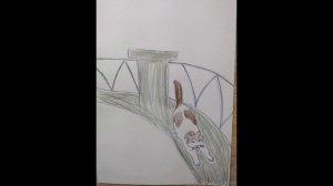 Дурак и кошка Стих Аниты