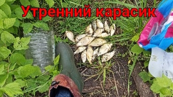 Ждёшь "крокодила", а ловится вот это... смотреть онлайн