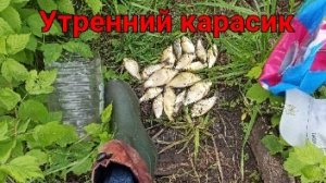 Ждёшь «крокодила», а ловится вот это...