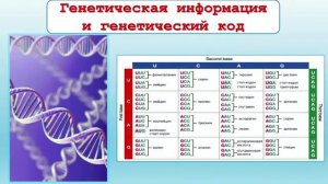 Как велики дела Твои, Господи! - Алексей Попов.