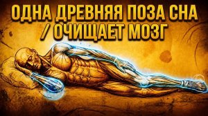 60. Ты всю жизнь спал неправильно и это влияло на твой мозг | За Гранью Кода