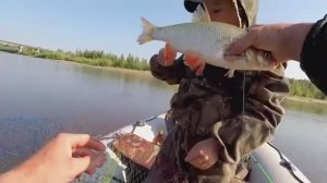 Как и на Что Ловить Язя на Реке Ловим Щуку на Жерлицы