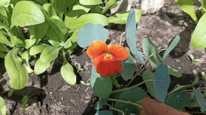 Прогуляемся во дворе!❤️💐💥
Порядок навела!🥰