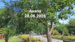 Анапа 20.06.2026