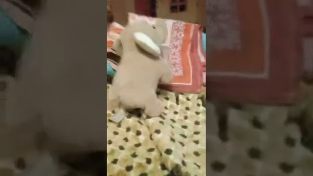 Миша прячет дом и мебель
