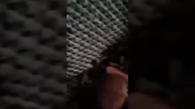 Новые злодеяния
