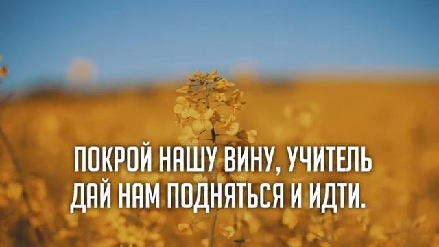 ПРОСТИ (Песня с титрами) -- Николай Пастухов