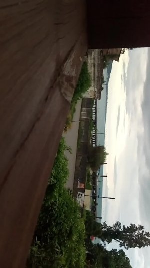 красота