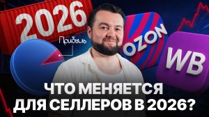 Почему селлерам Ozon и Wildberries стало сложнее зарабатывать