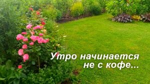 Июнь. Дача