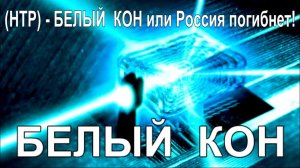 Нау́чно-техни́ческая революция (НТР) - БЕЛЫЙ  КОН или Россия погибнет!