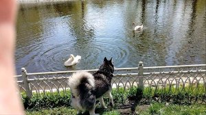 Я тоже хочу купаться