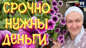 Деревенский дневник очень многодетной мамы /Срочно нужны деньги