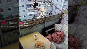 Колабик
